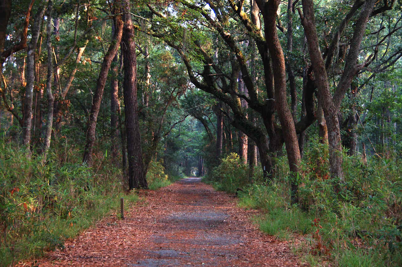 Skidaway Island State Park Campground