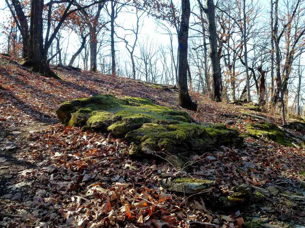 Gobbler Ridge Campground