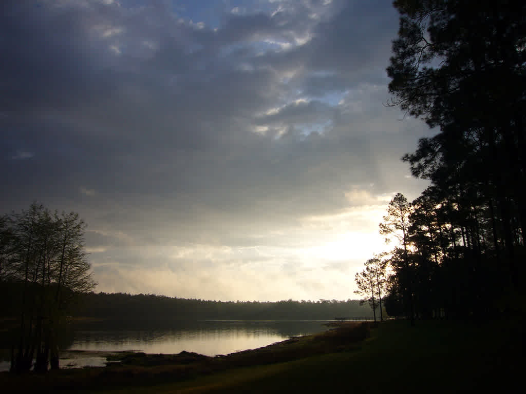 Conecuh National Forest