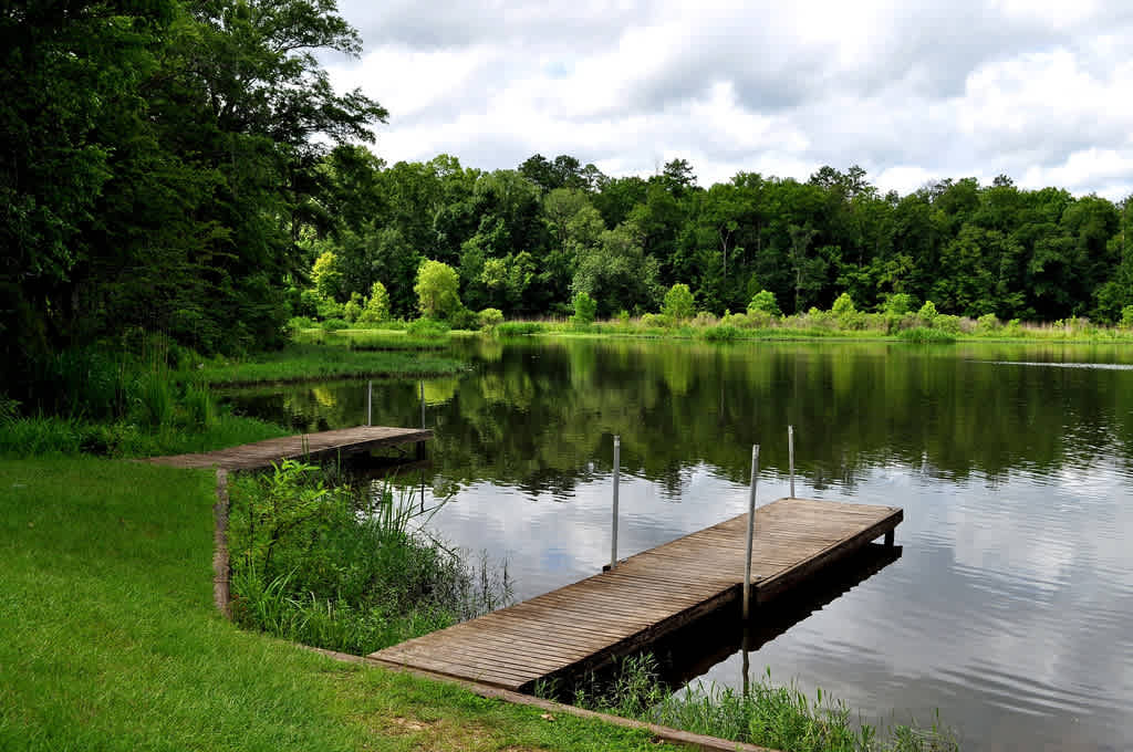 Roland Cooper State Park