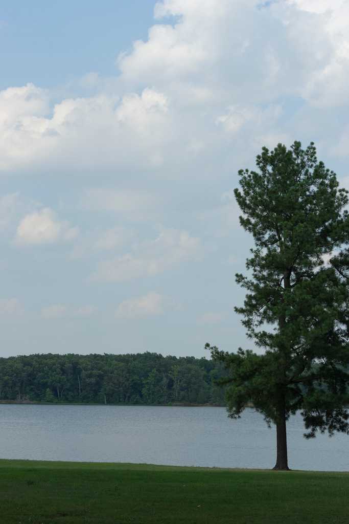 Lake Charles Campground