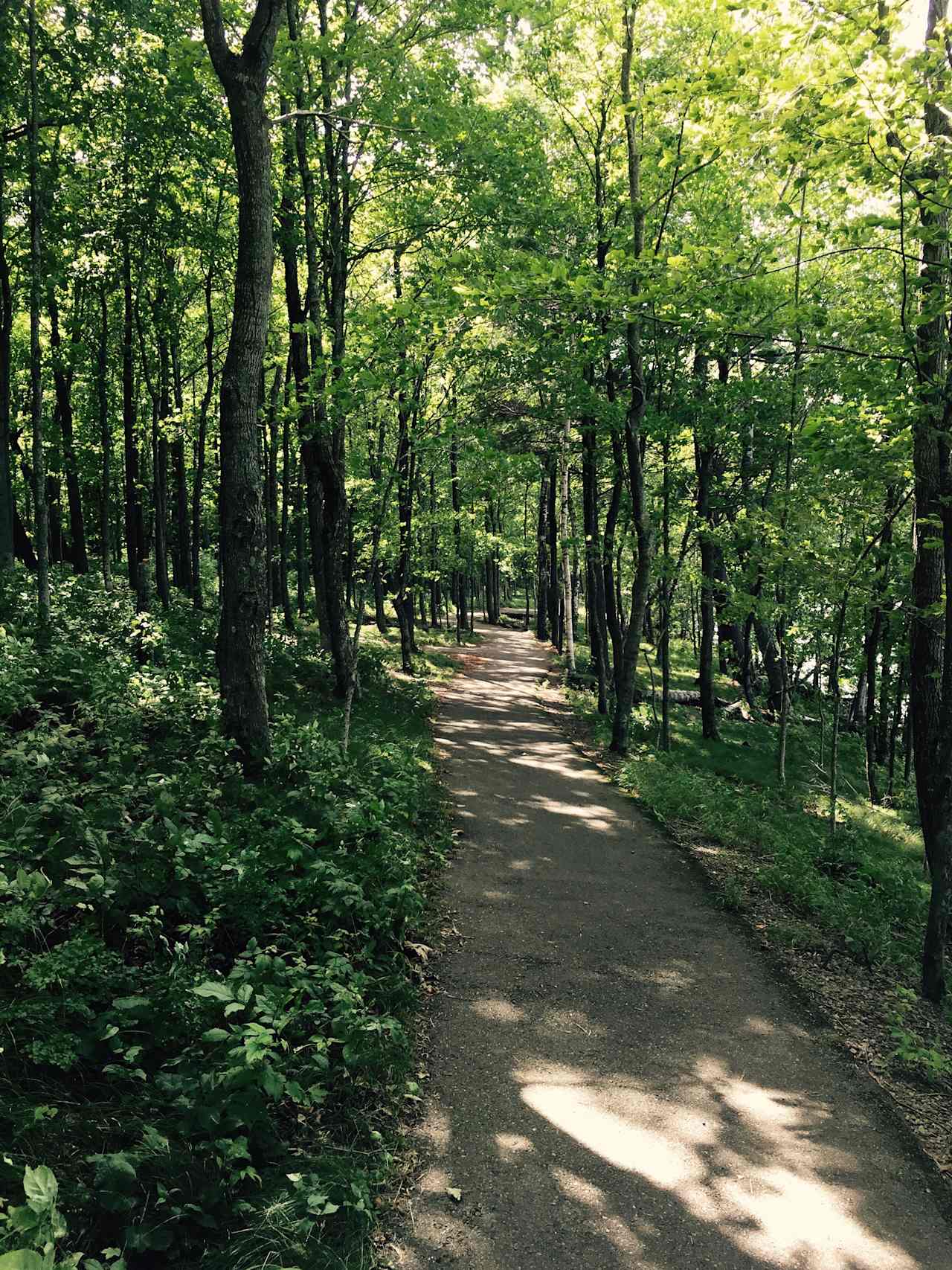 Beautiful trails