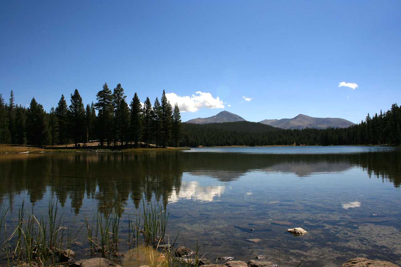 Dog Lake - nice hike near Porcupine Flat