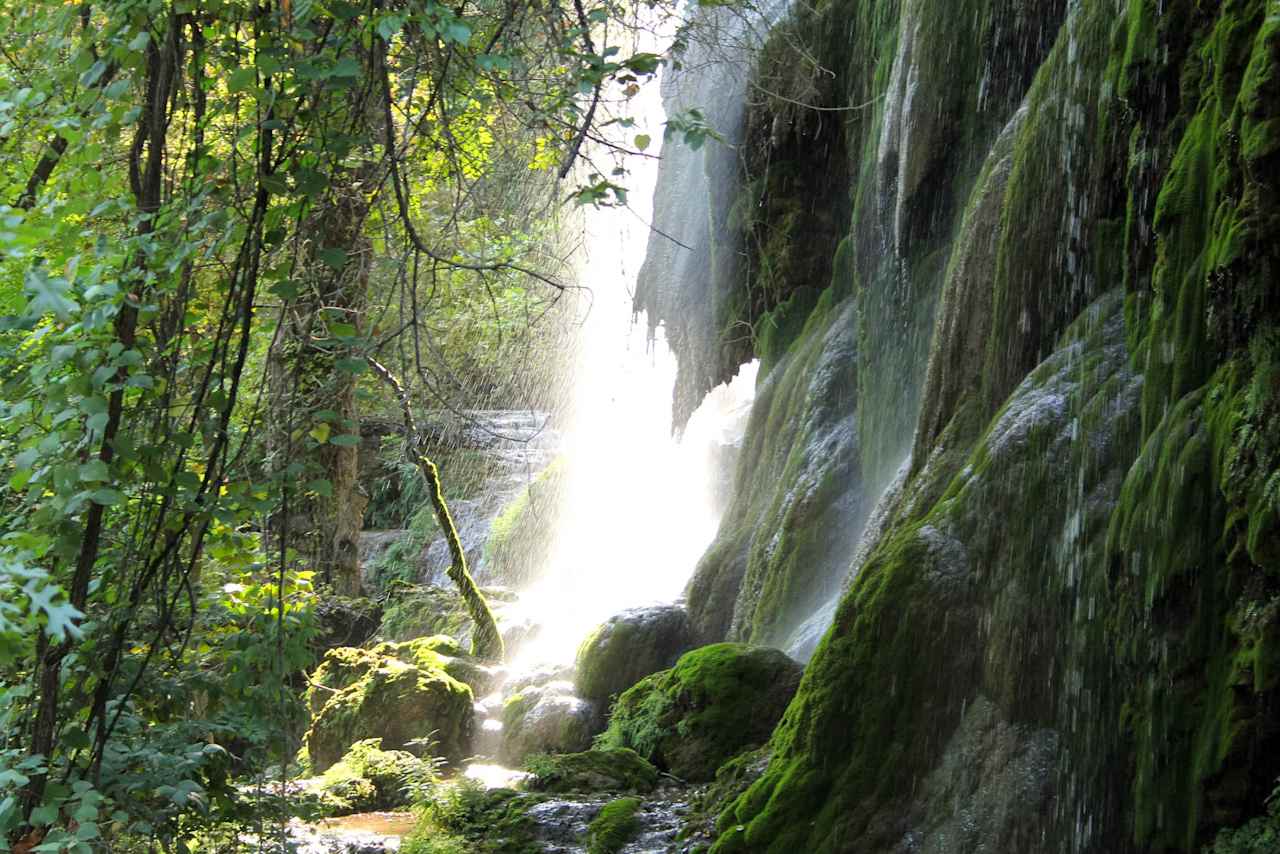Colorado Bend State Park Campground