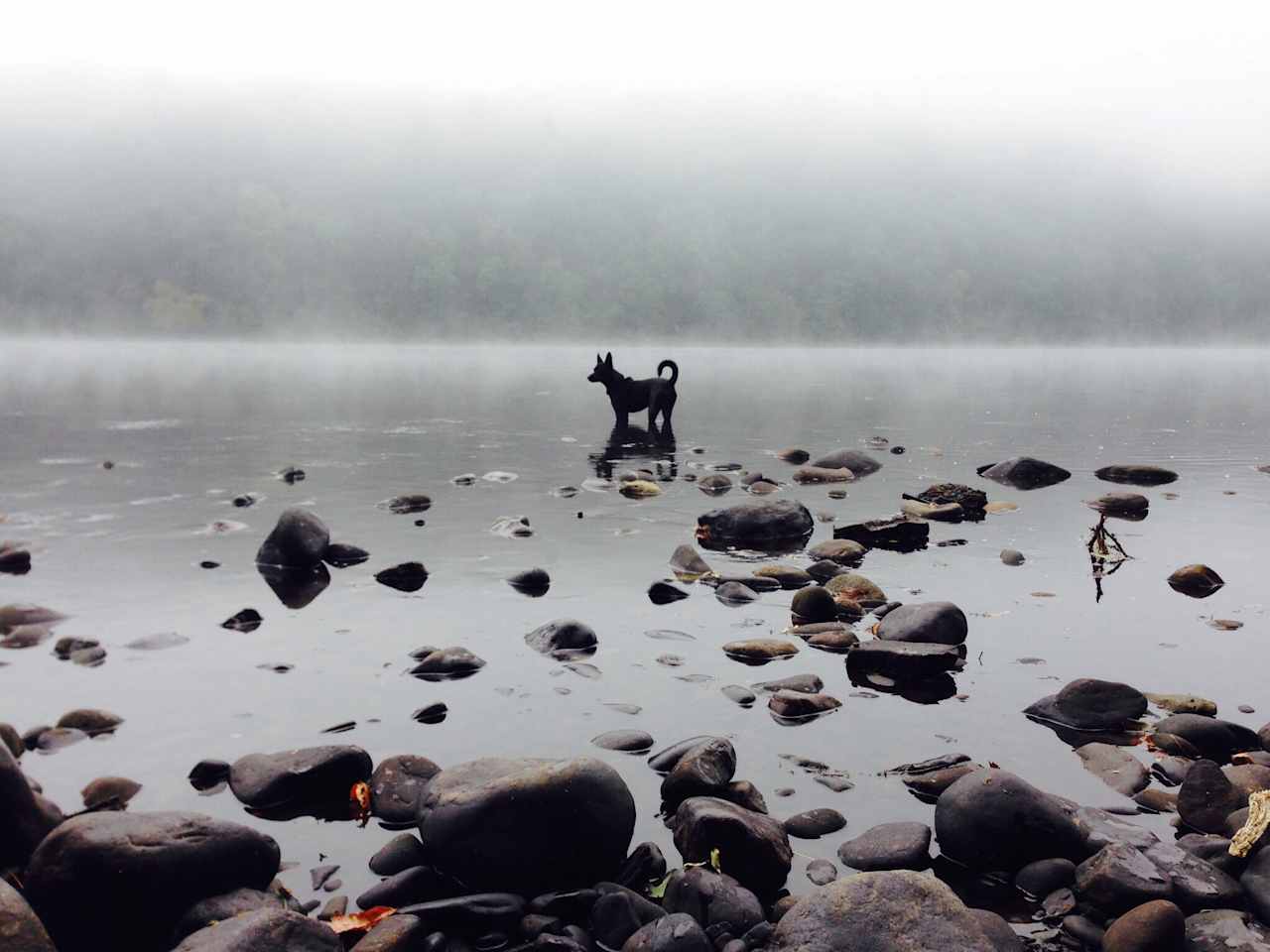 Early morning on the river, just steps from the tent