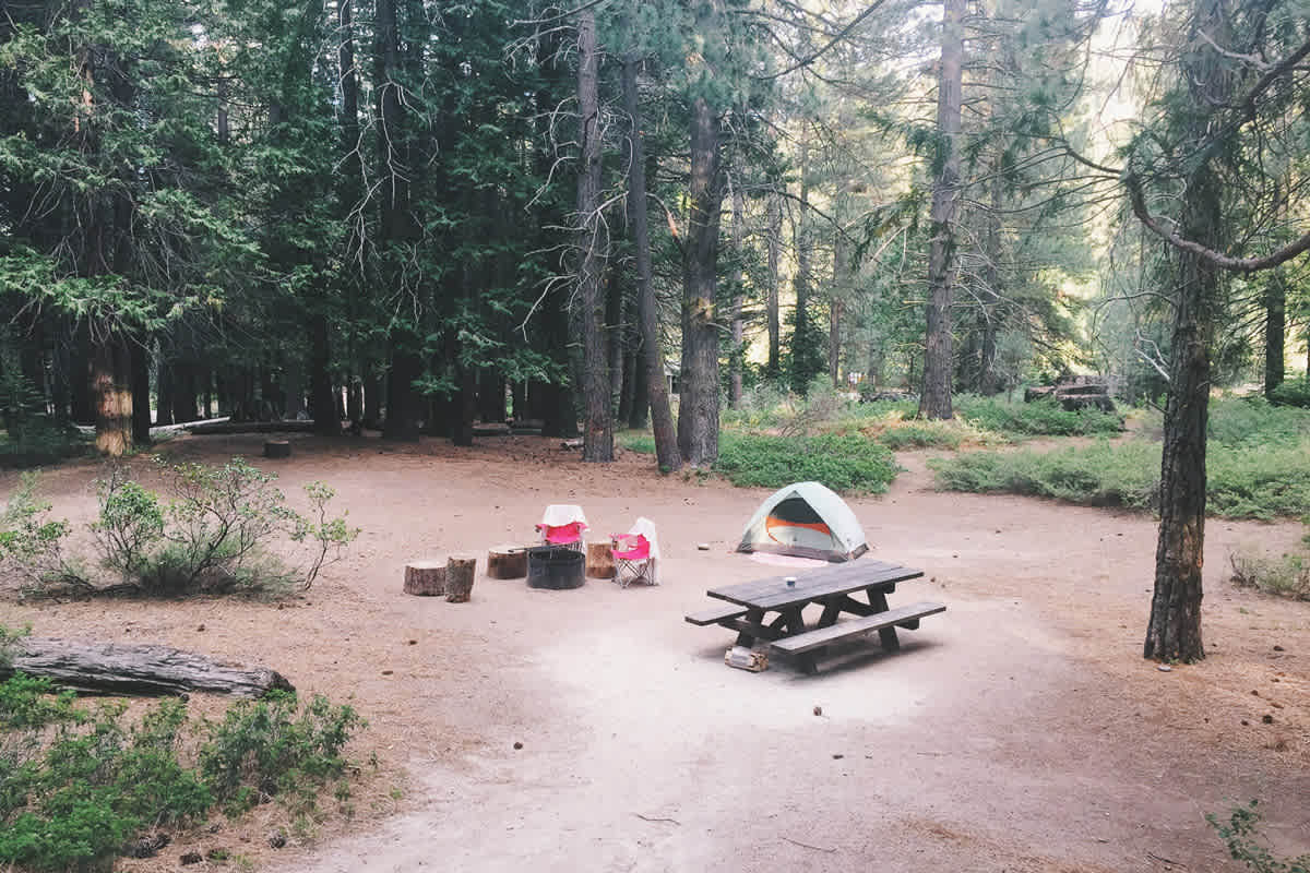 Spot 49 is super roomy. Highly recommend. 