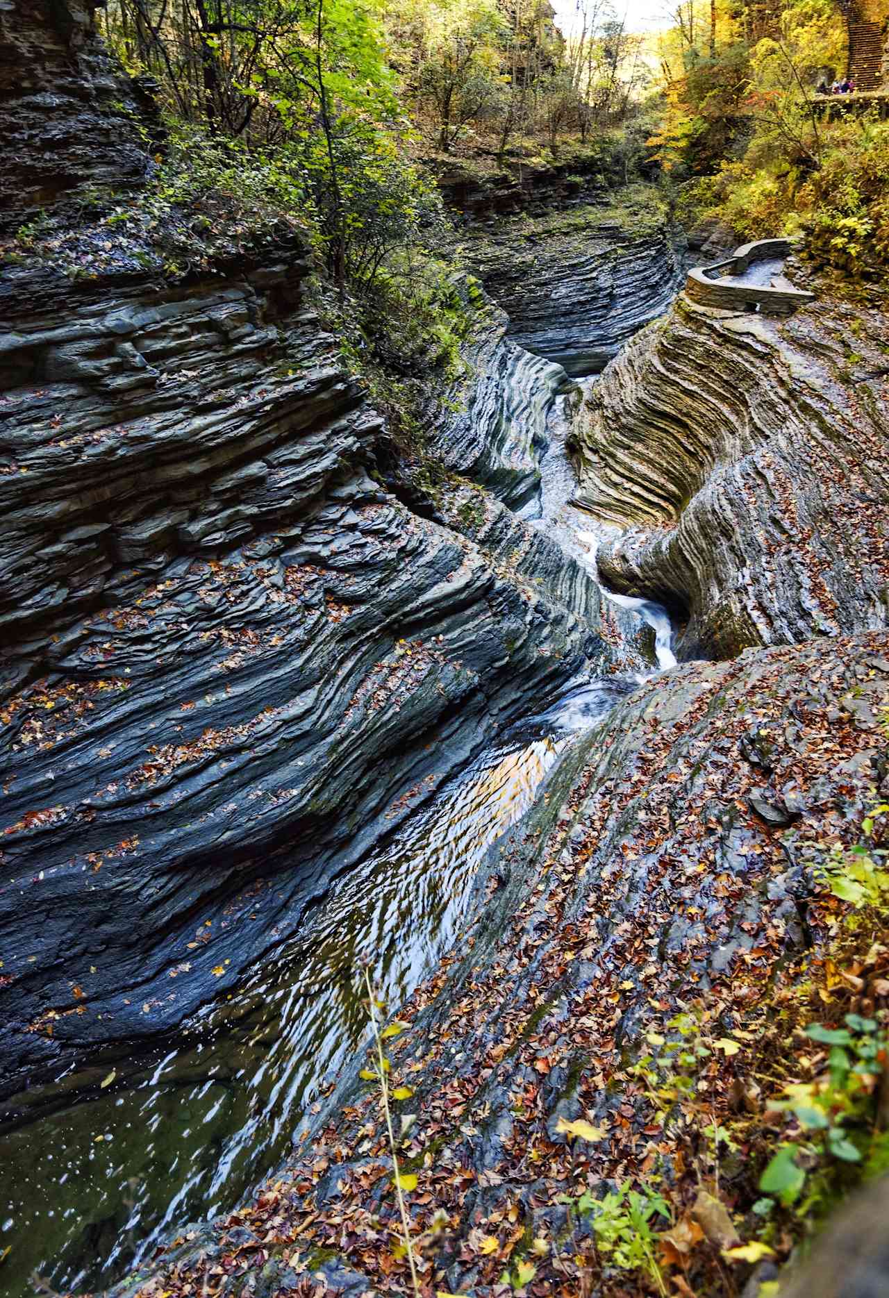 One of the best camp and park experiences in New York State!