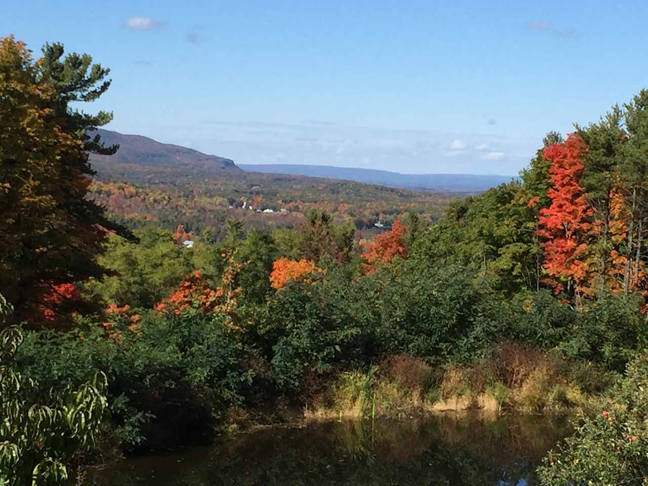 Magic Forest Farm
