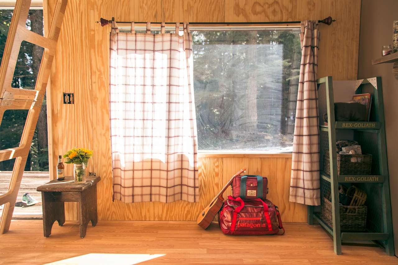 The big cabin windows get direct sunlight in the afternoon. You wouldn't expect there to be as much light as there is, considering you're in the middle of the woods.