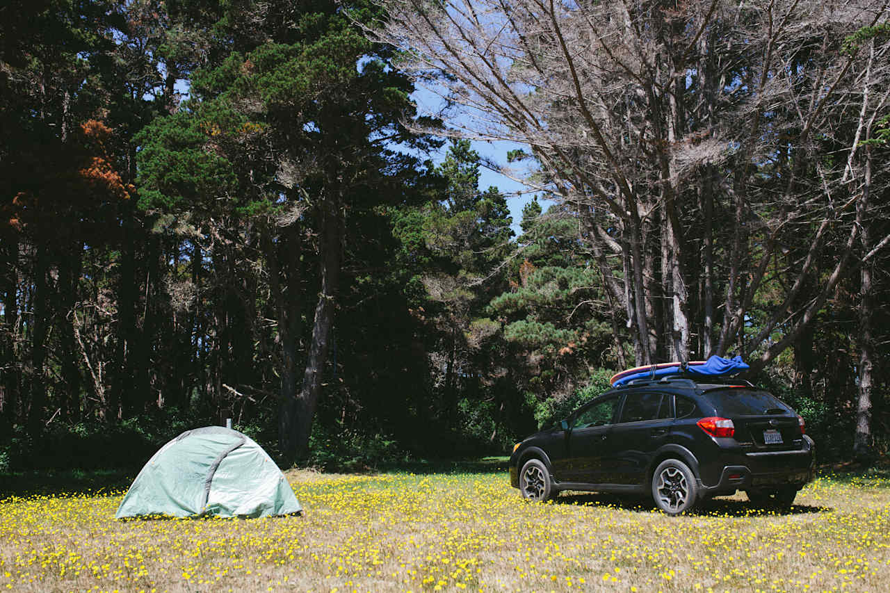 This campsite is perfect for group camping. This big open space allows at least 10 tents with the possibility to drive in. There is a giant fire pit with multiple water spigots and power outlets within this open field.