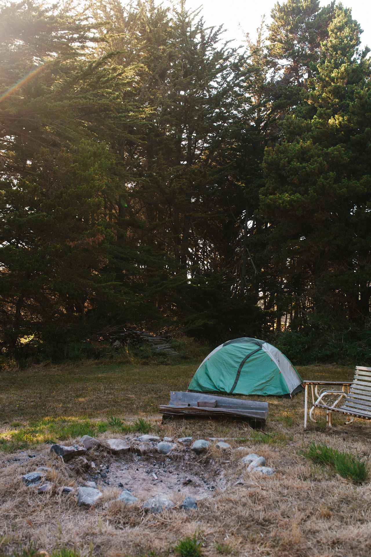 Although the space if big, it feels cozy with the surrounding trees.