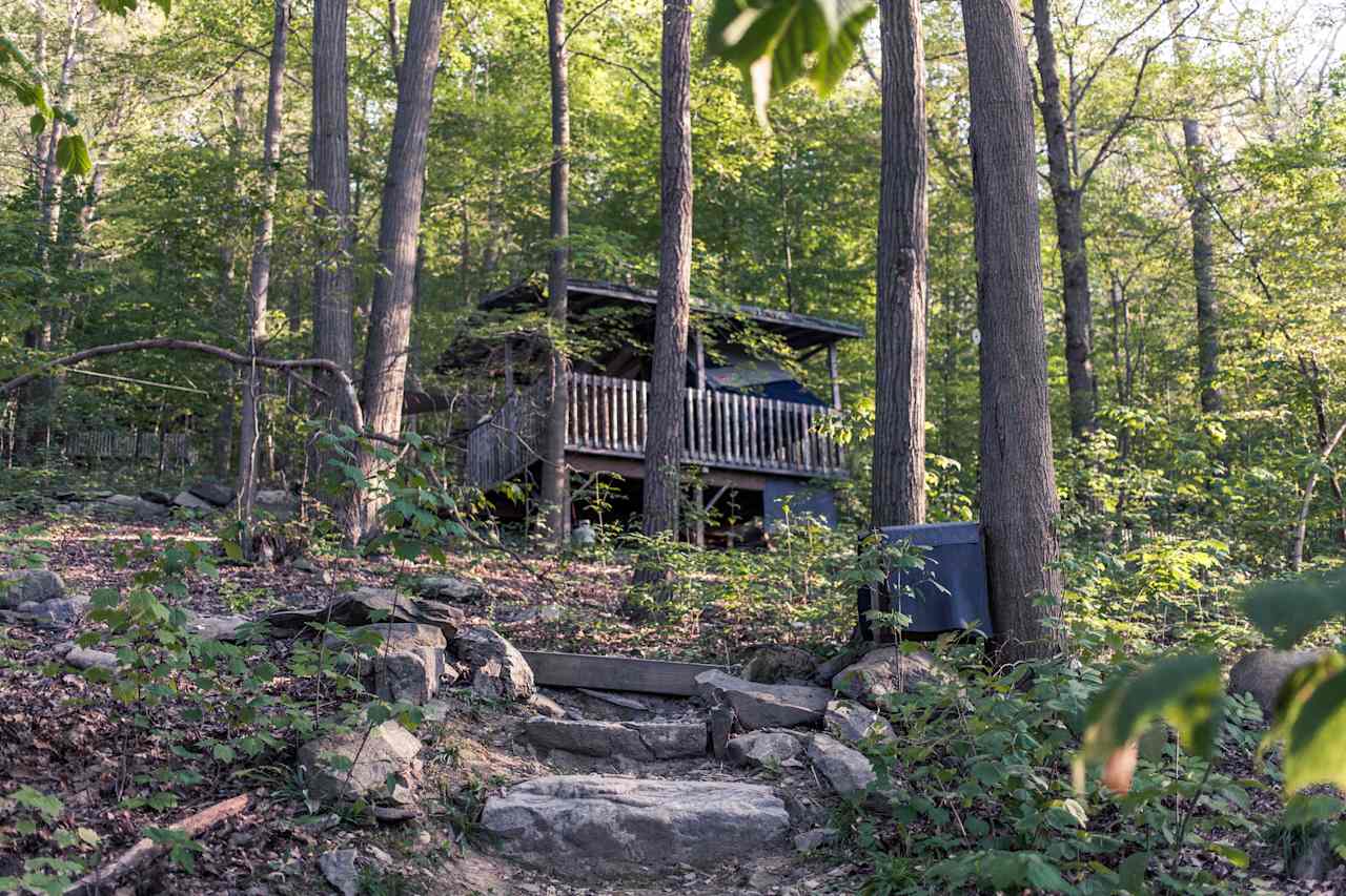 Secluded wee spot amongst the trees
