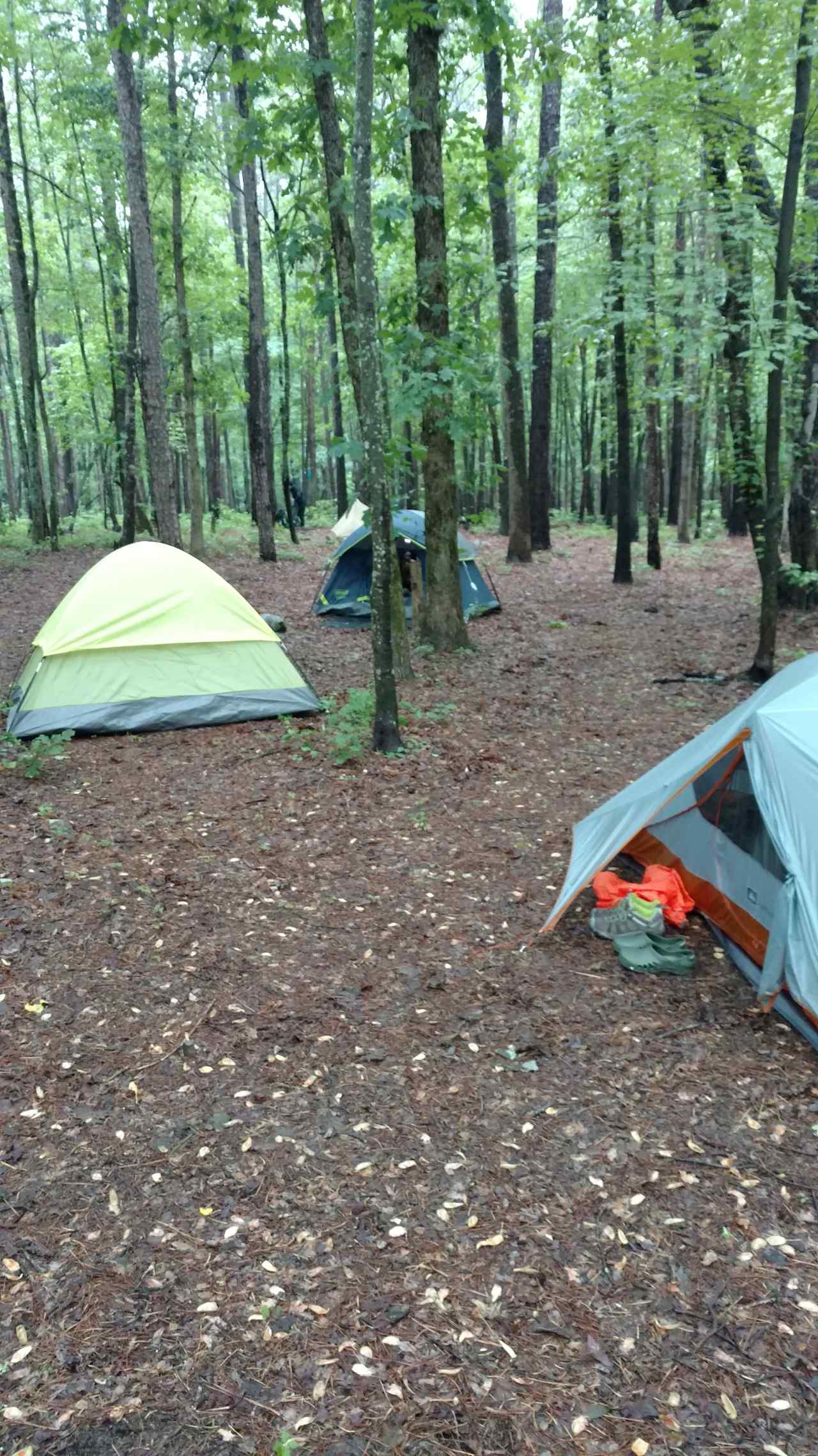 Yates Place Camp