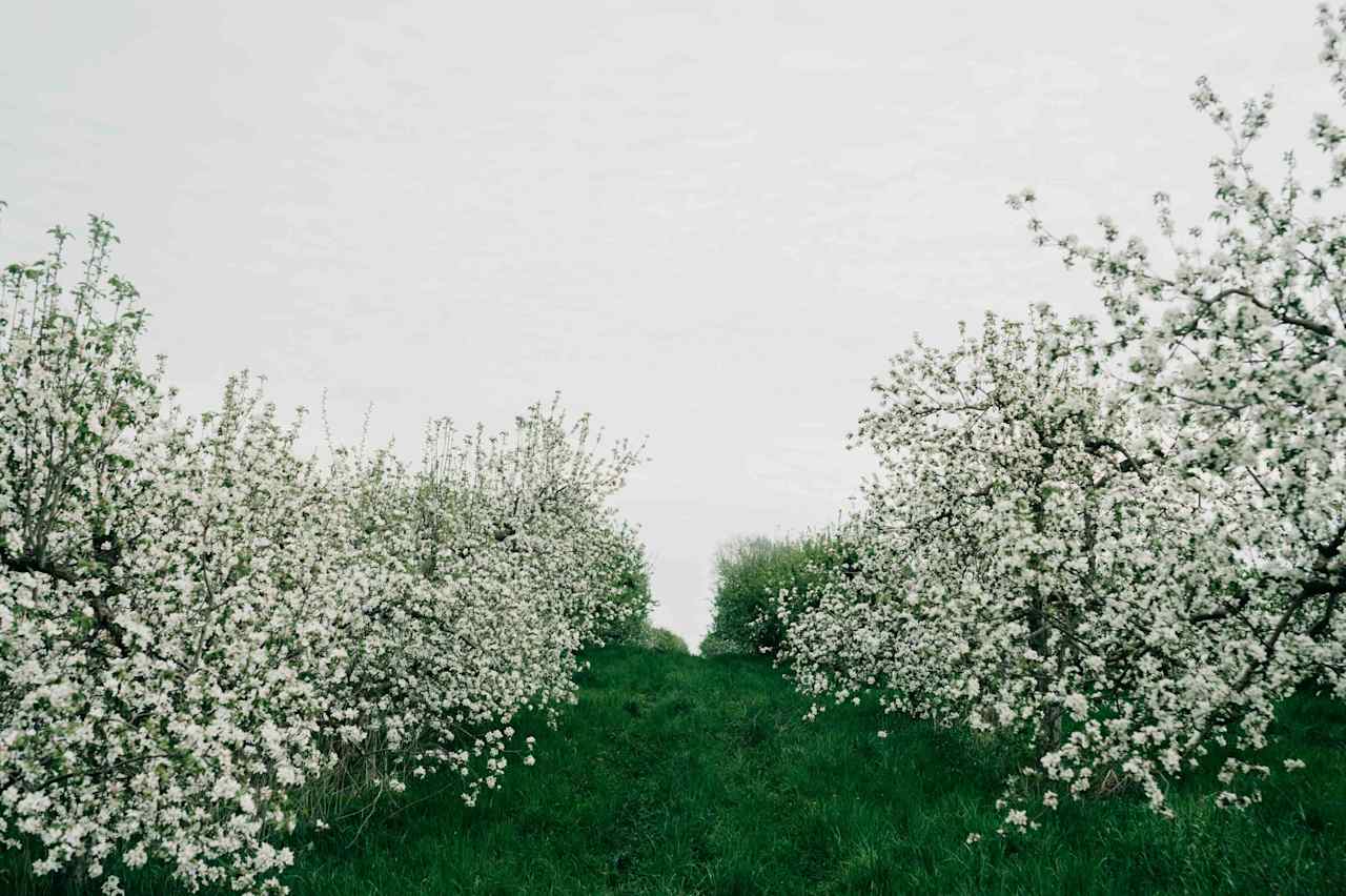 Such a beautiful farm!