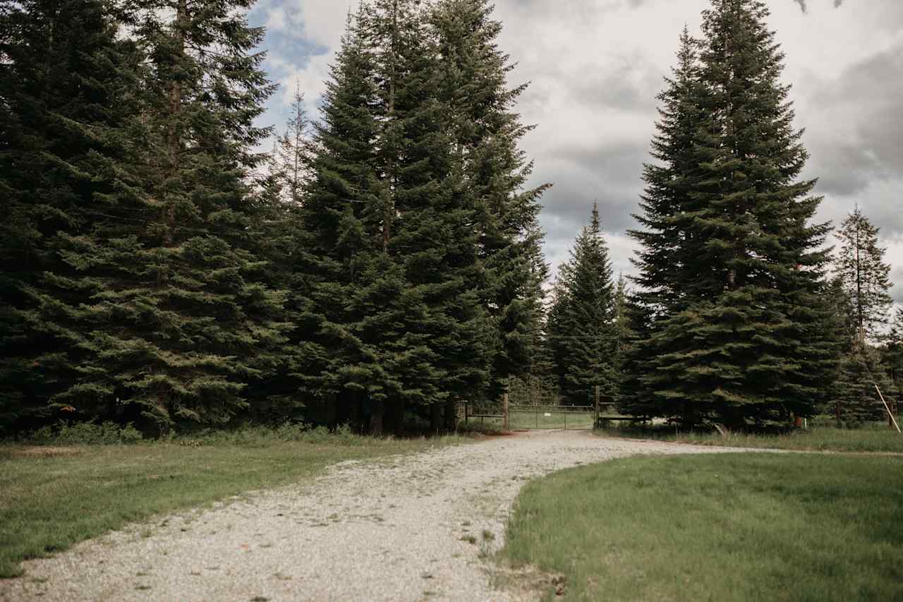 The driveway into the property