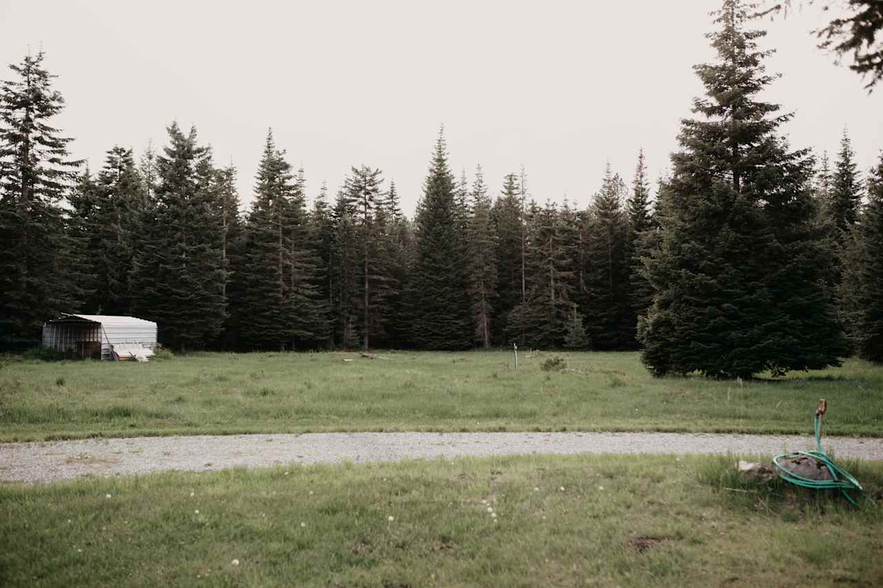 Tons of space on the 5 acre property to walk around and explore