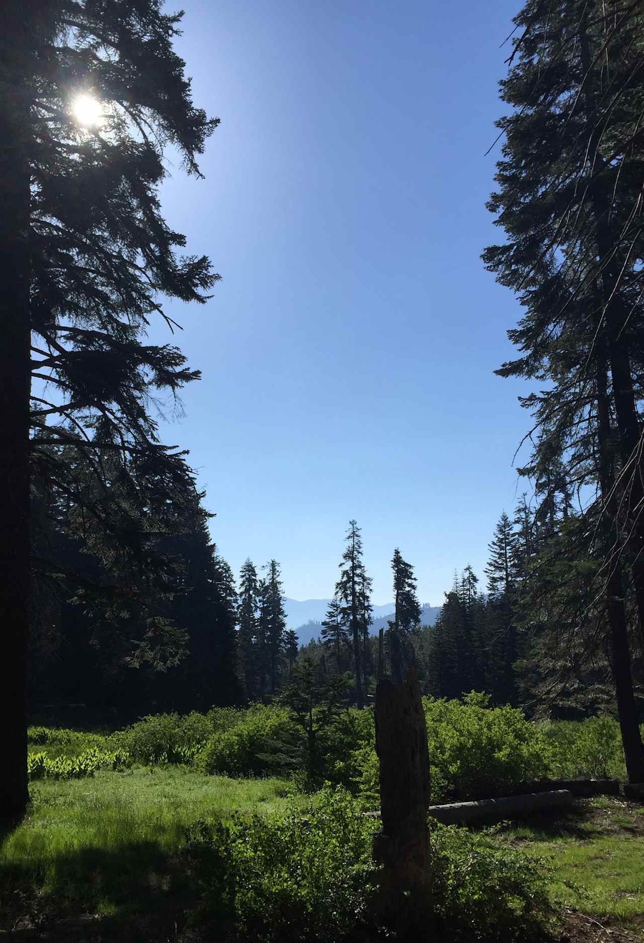 Morning view from campground 