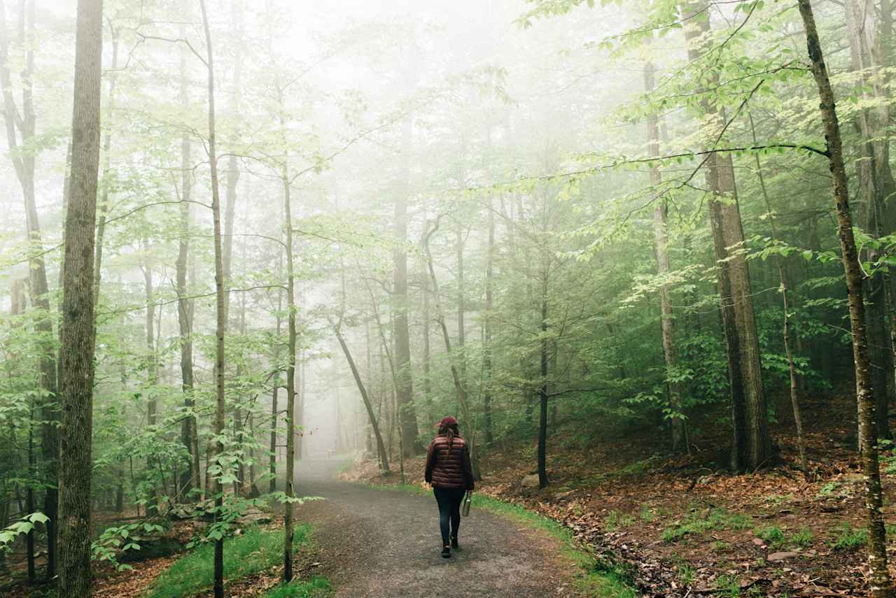 it's just a short walk to the Kaaterskills Falls viewing platform