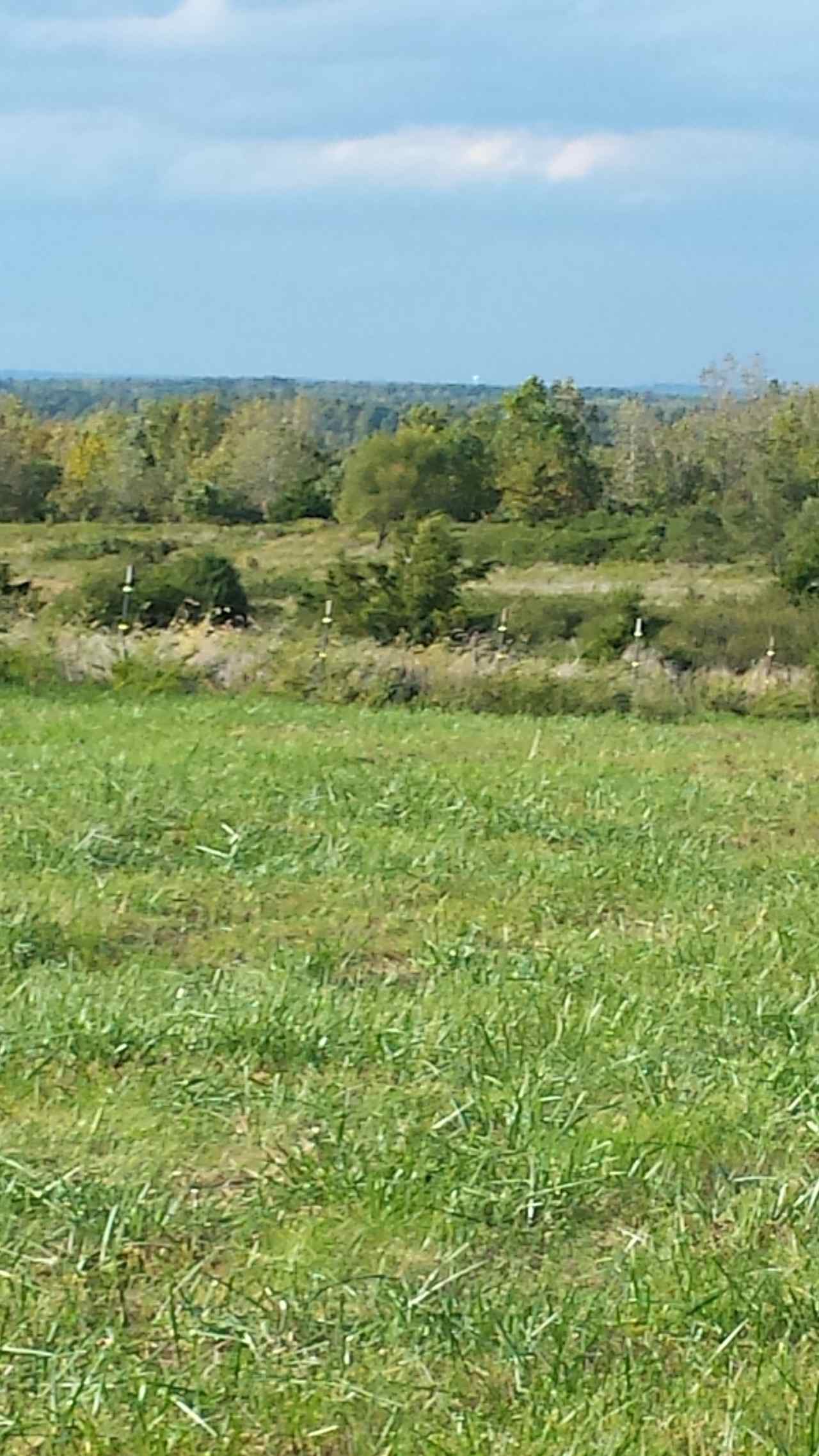 Very High Elevation open pasture. You can see waaaayyy out in the distance. Beautiful Open Country!!