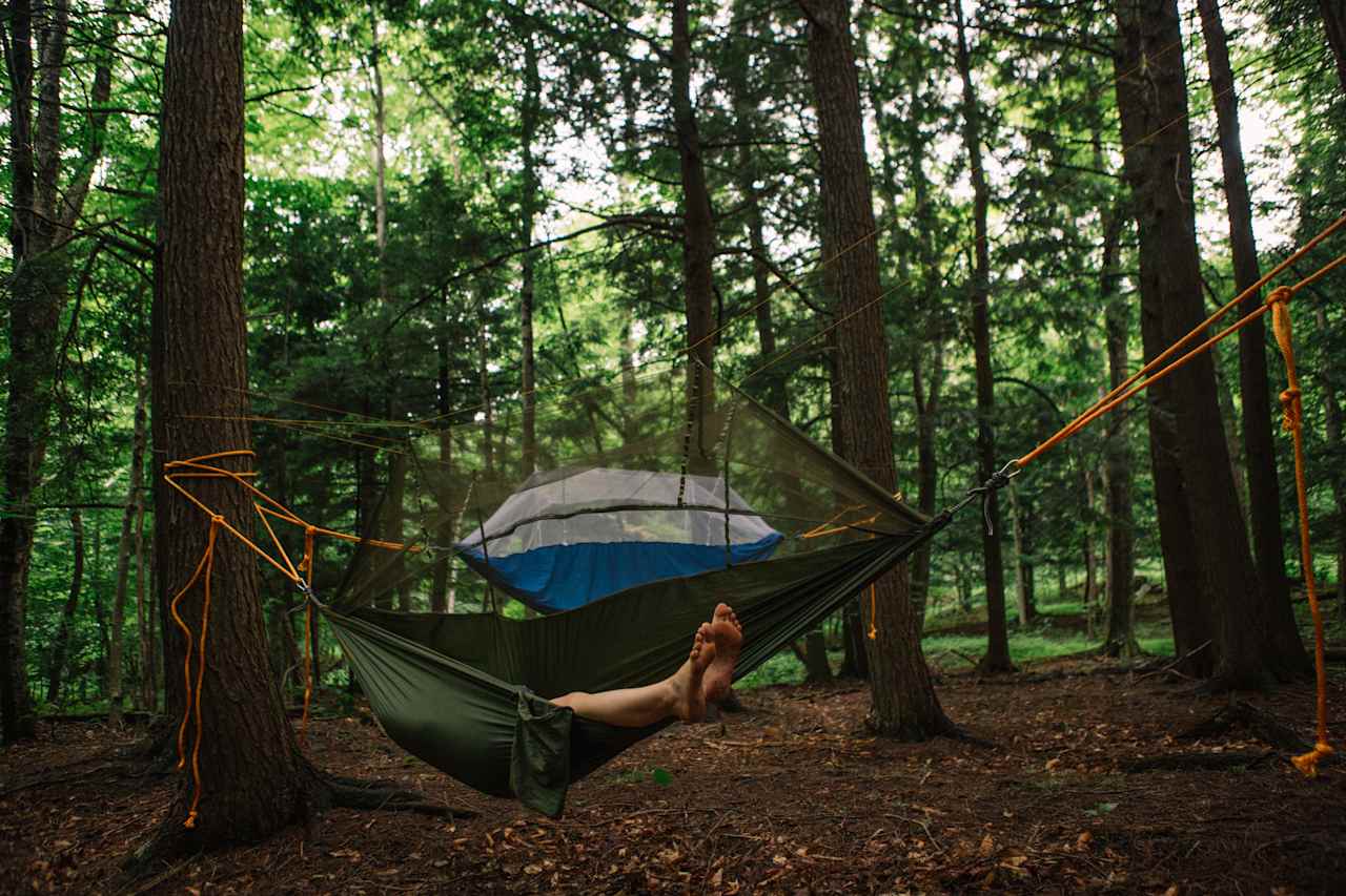 Hammocks provided at the site!