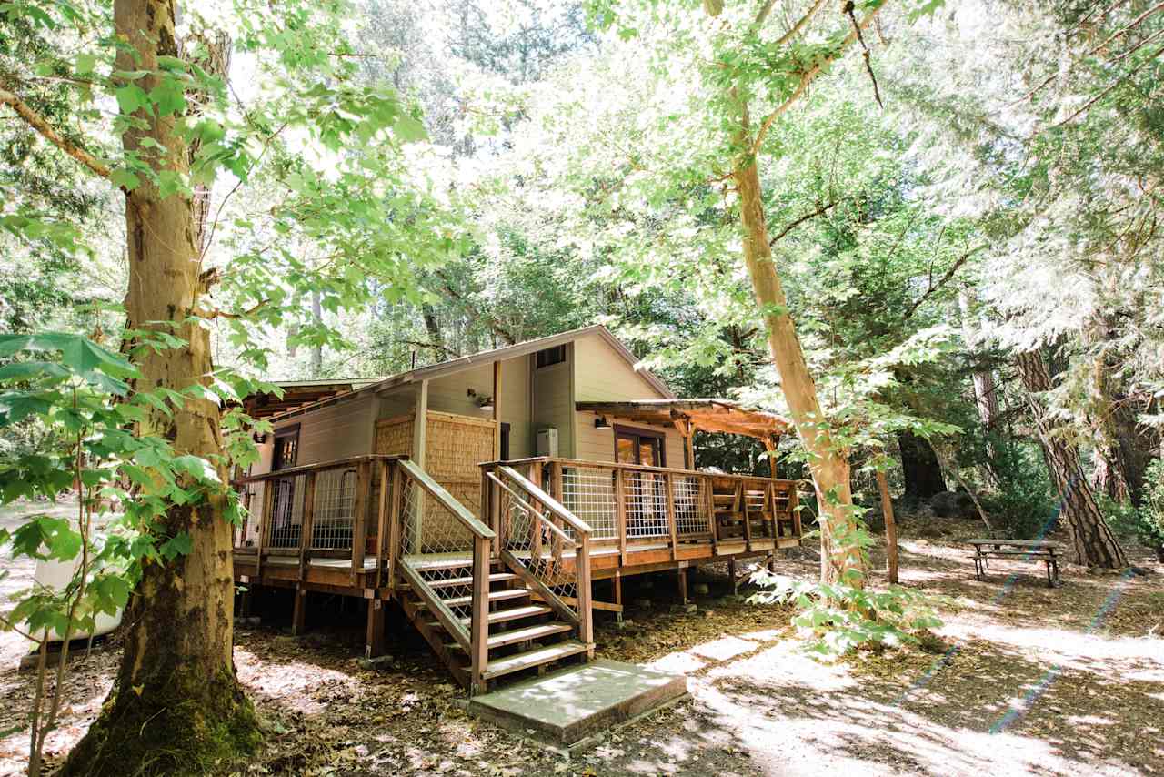 View from the back of the cabin. 