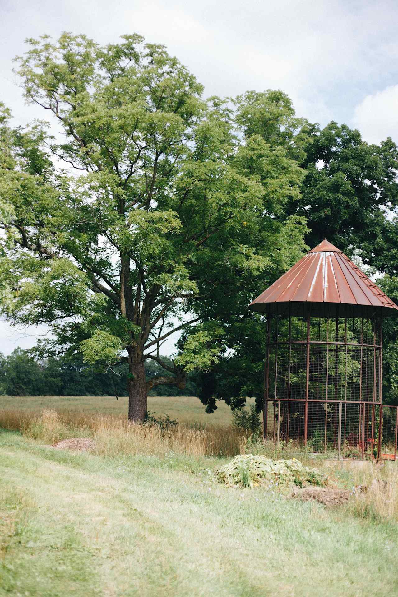 Nature and Nurture Farm