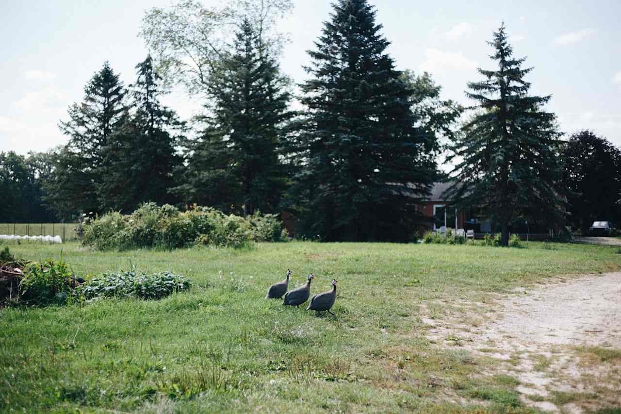 Nature and Nurture Farm