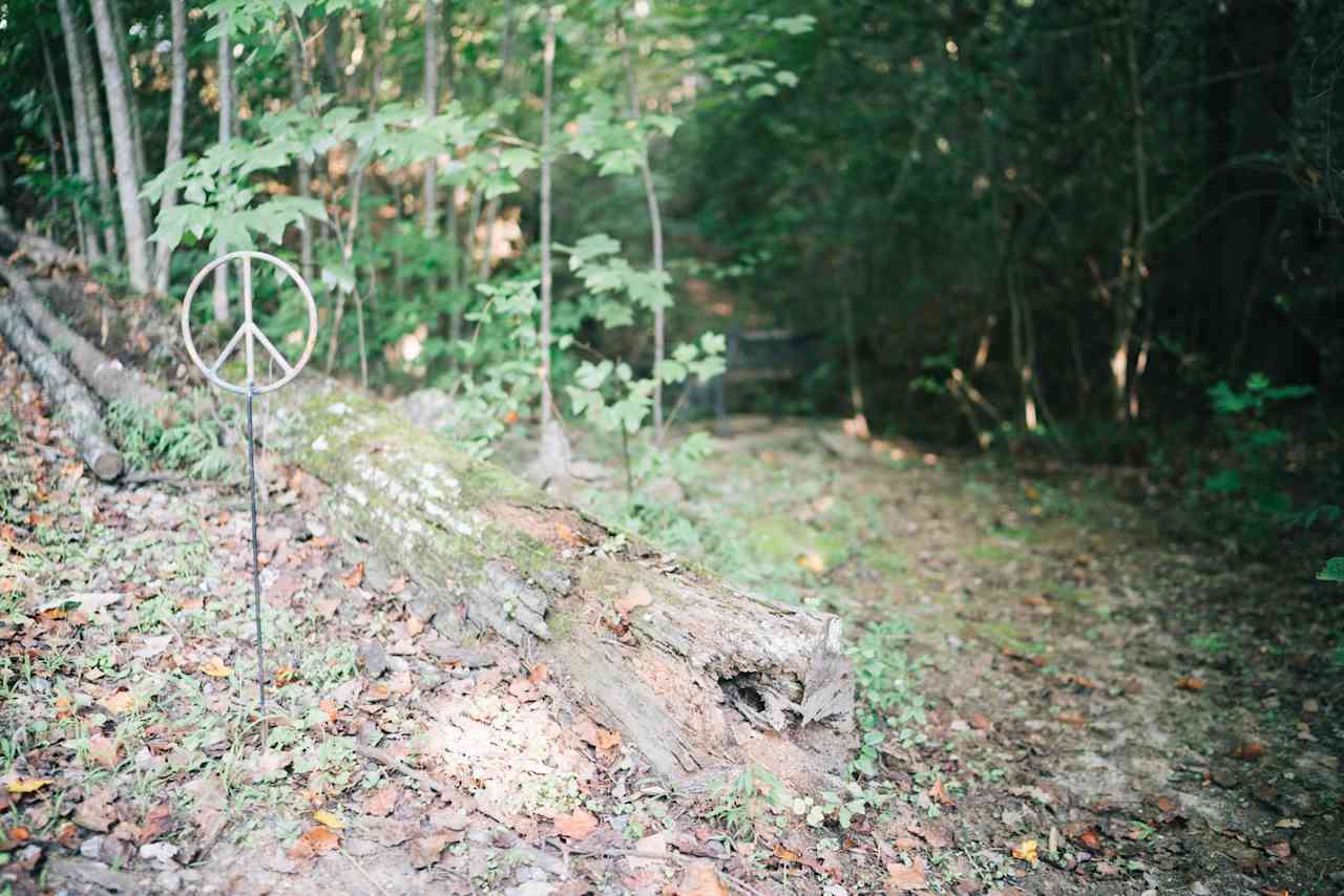 Future primitive camp site right next to the creek!