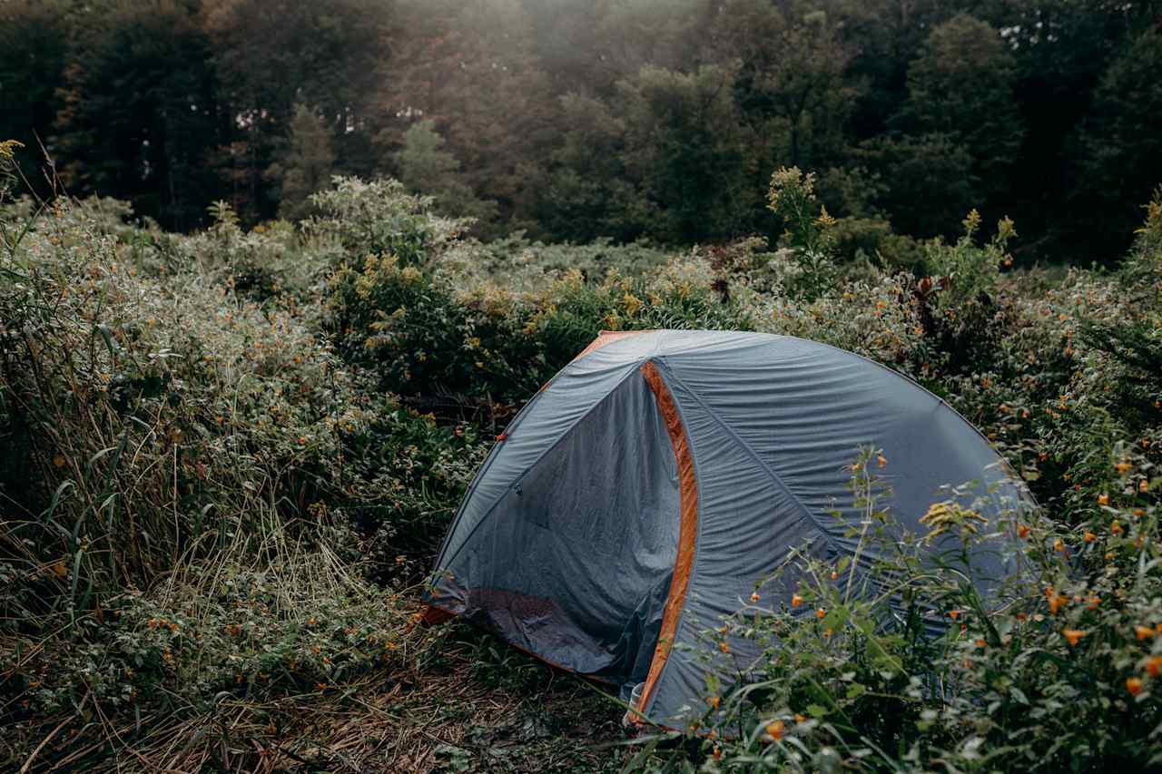 Camp site!