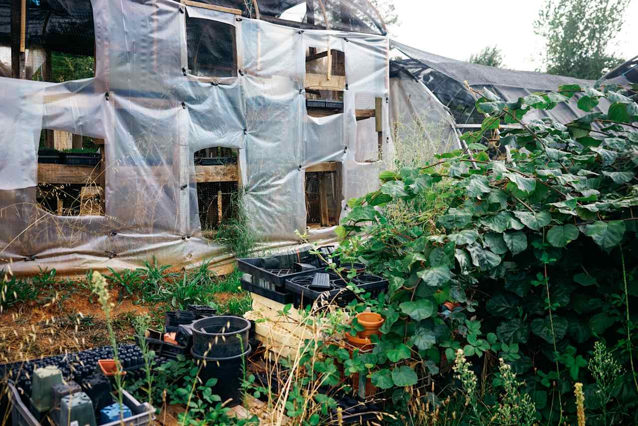 Shared Abundance Organic Farm