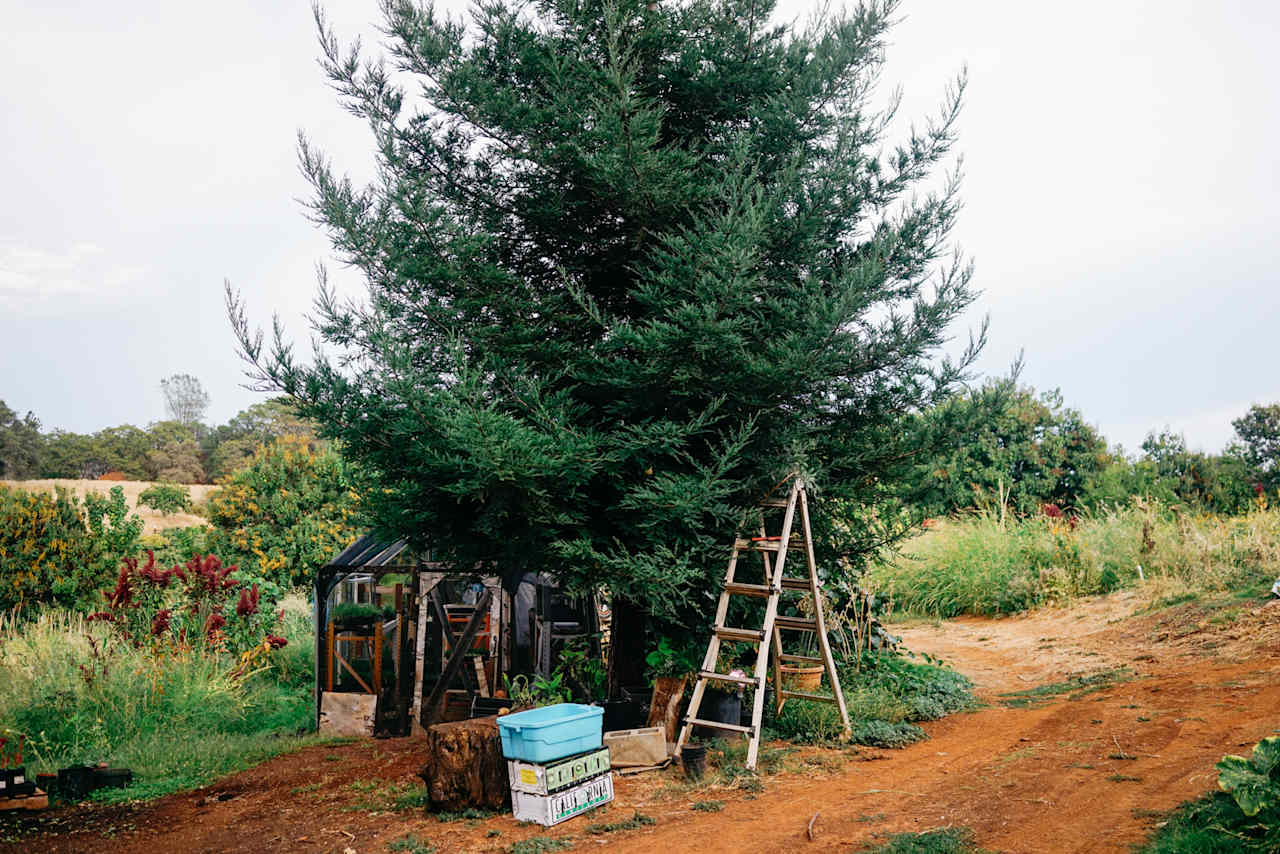 Shared Abundance Organic Farm