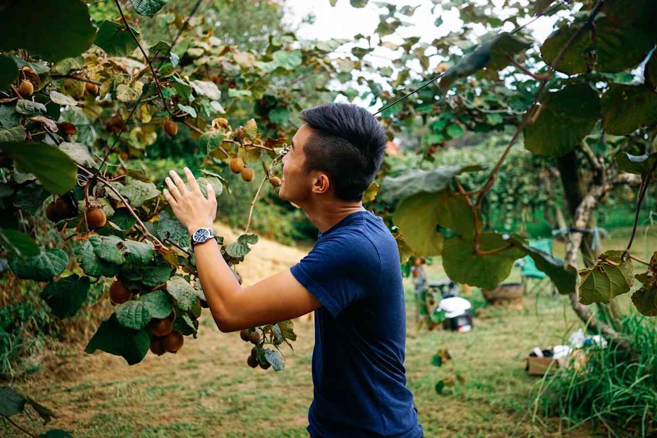 Shared Abundance Organic Farm