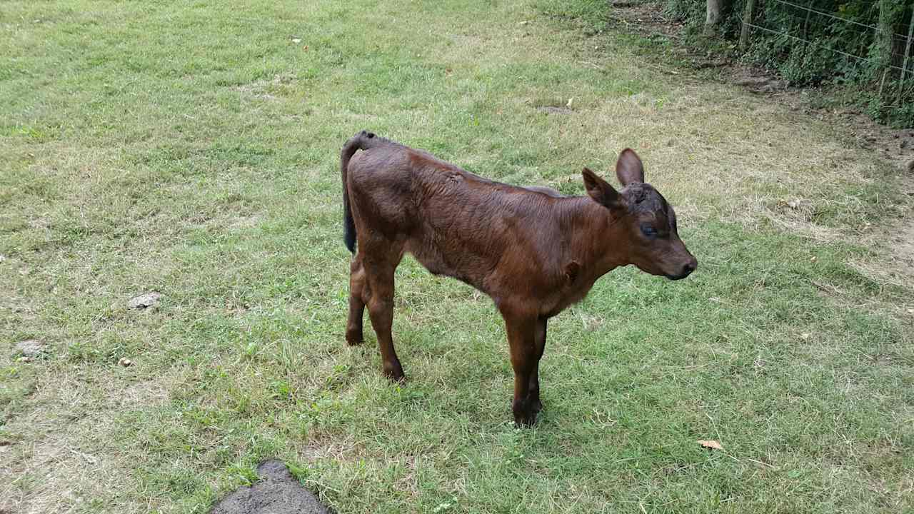 Munson Hill Farm