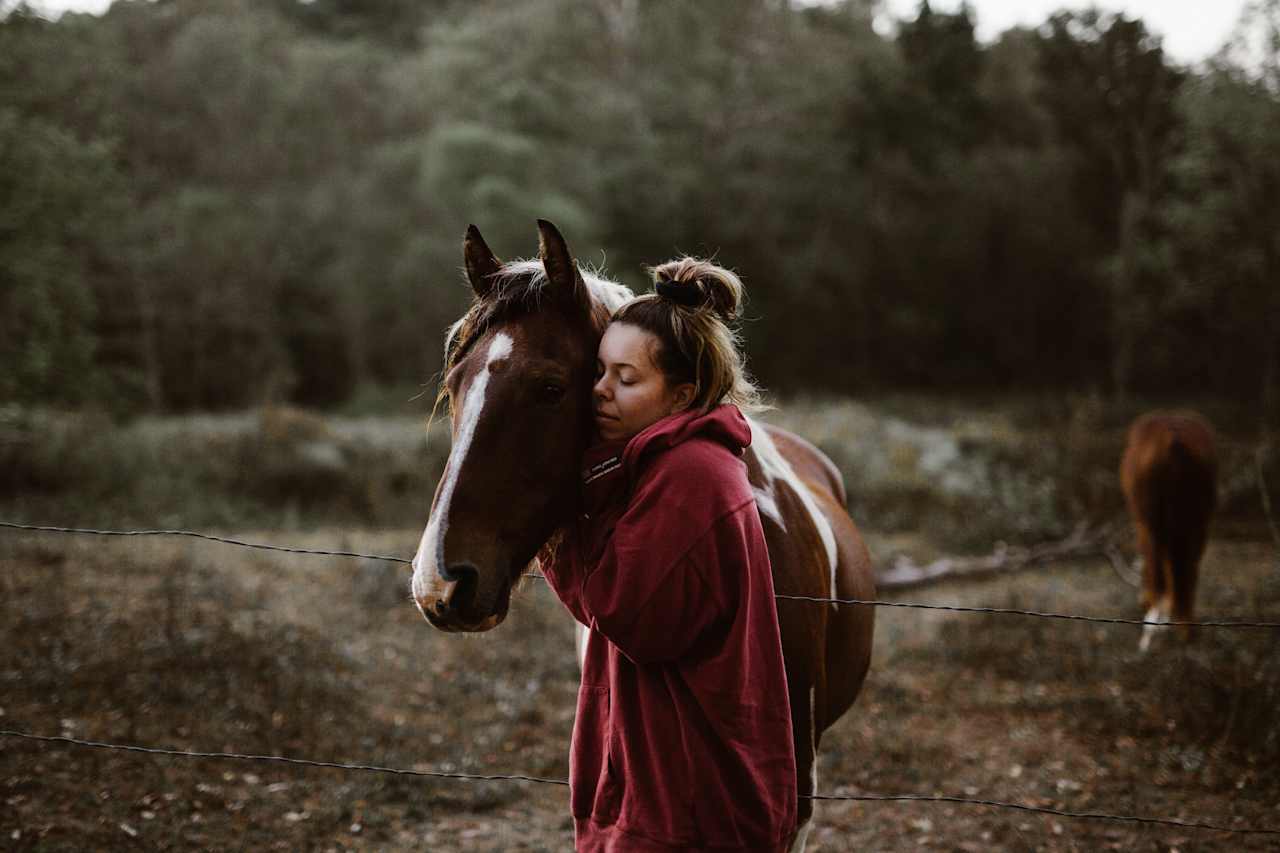 The most friendly horses.