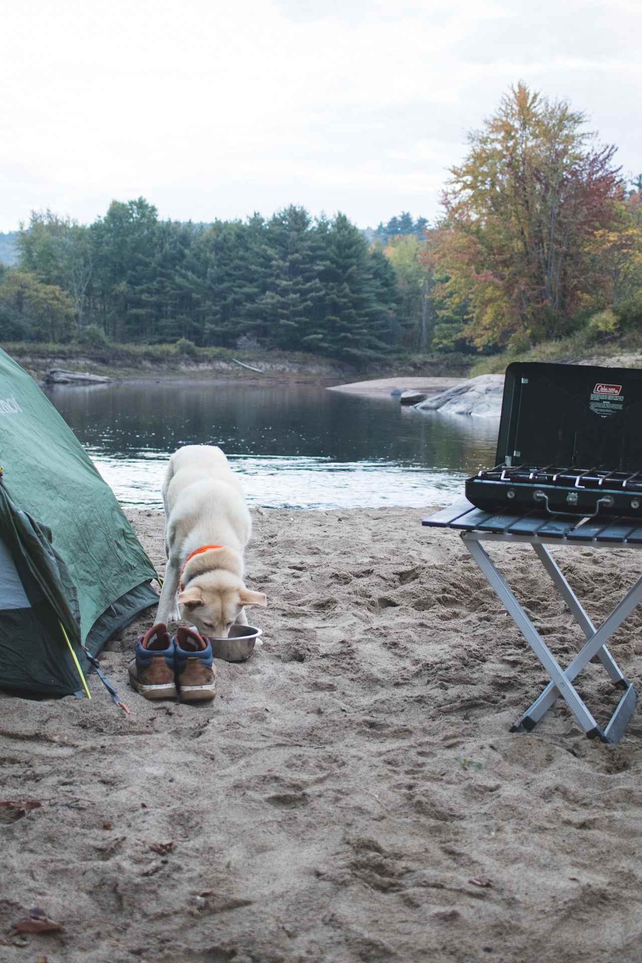 Adirondack Acres Trail & Camps