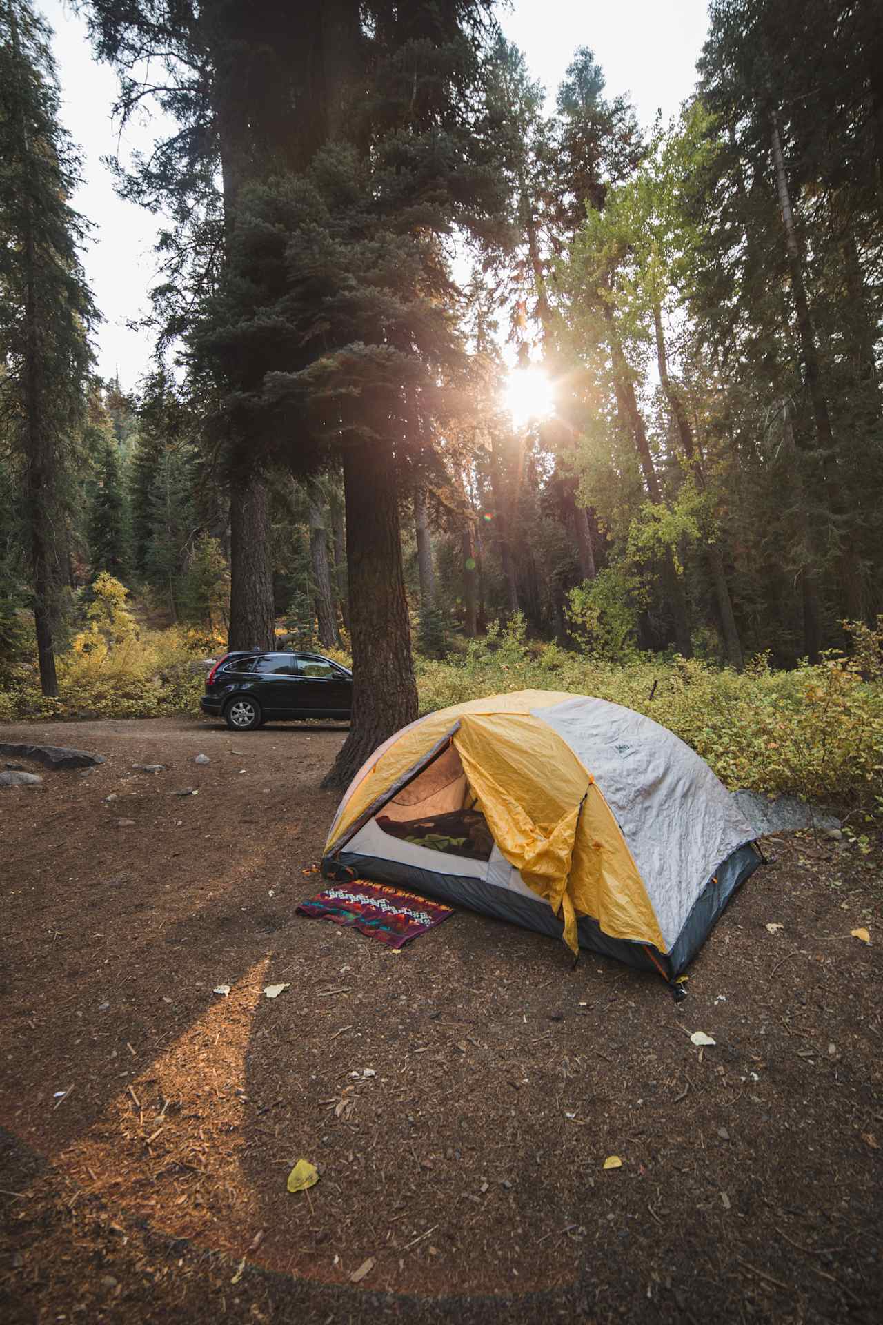 Camp site for the weekend