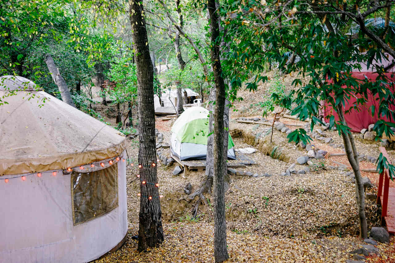 Next to the yurts are wooden platforms you can set your tent up. 