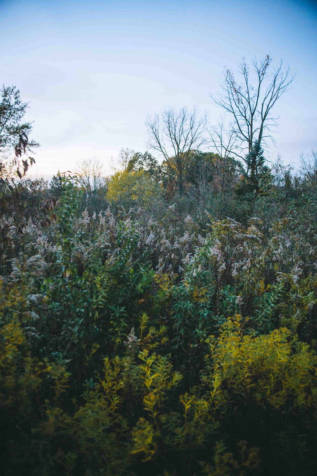 I am so in love with the amount of colors in the brush, its such a beautiful wildlife refuge!