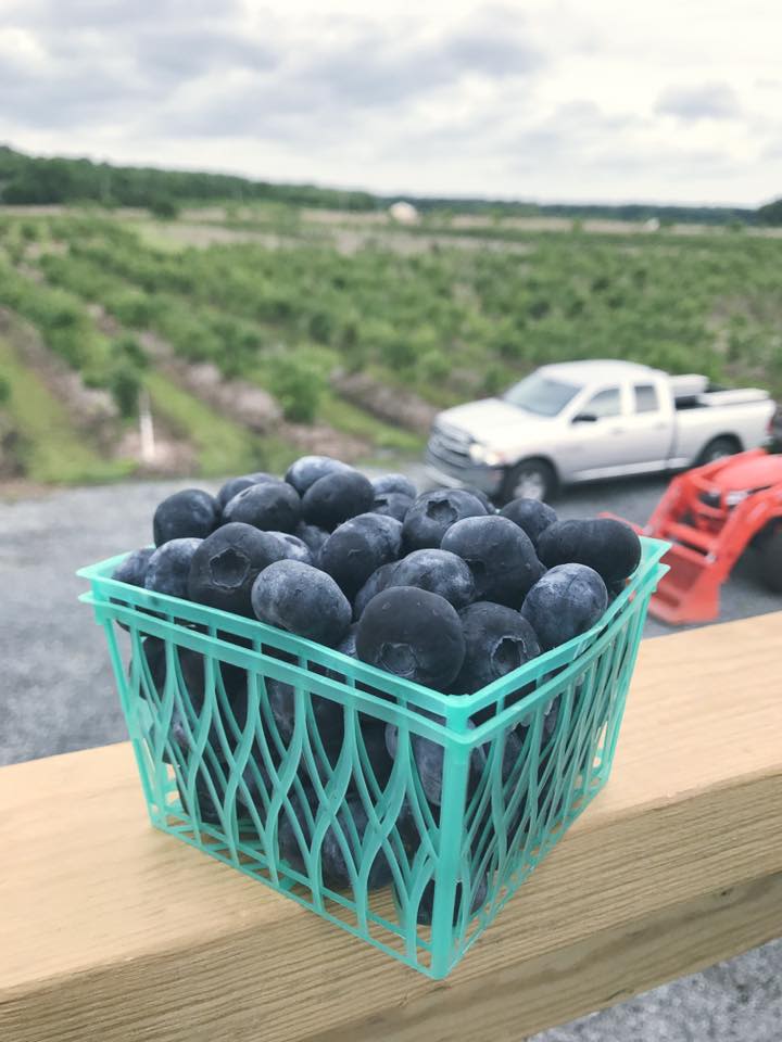 view from side attic steps berries and front section O  