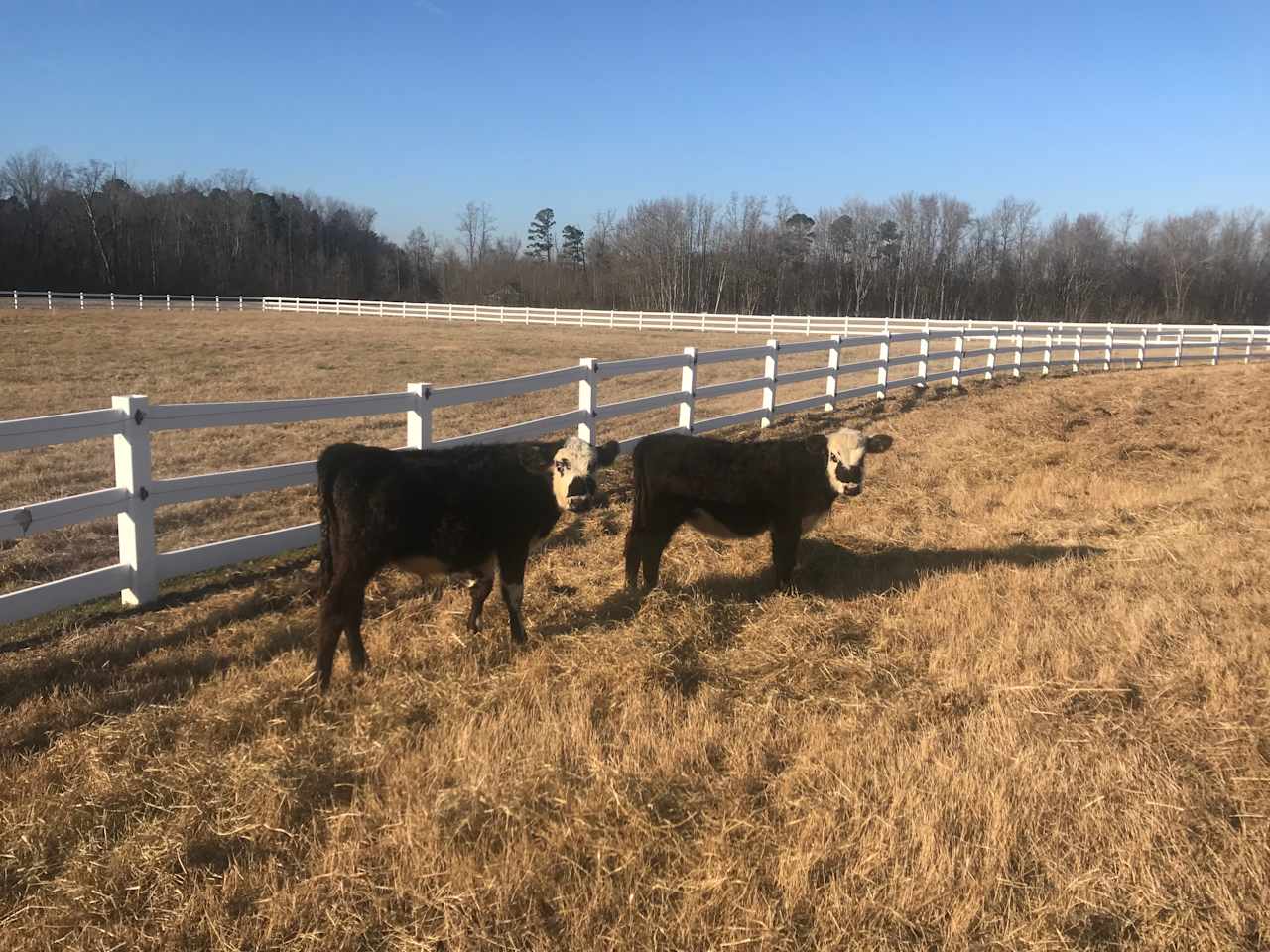 Horse Ranch-a short drive from 95