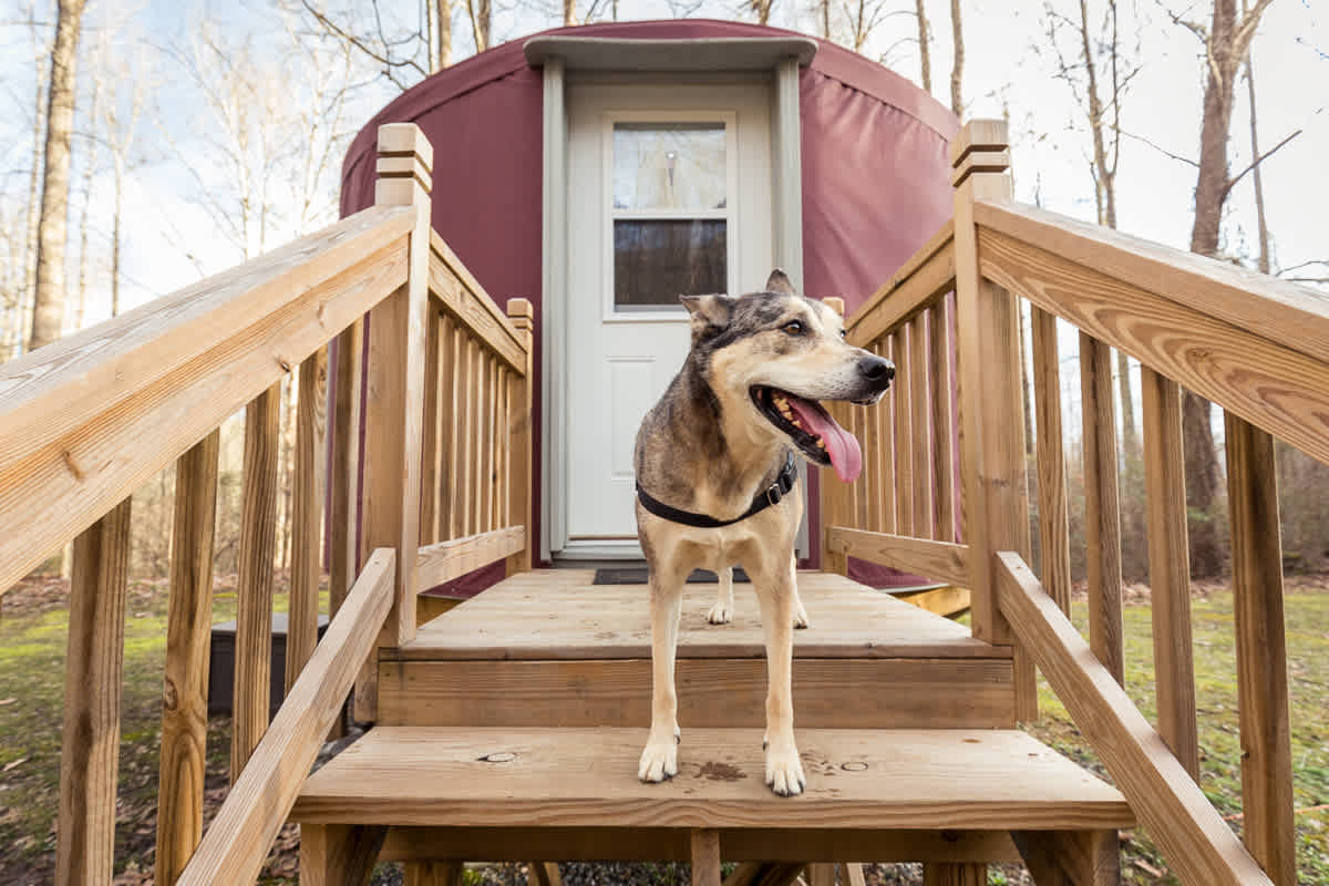 Maybelle was all smiles exploring the 30-acre property. 
