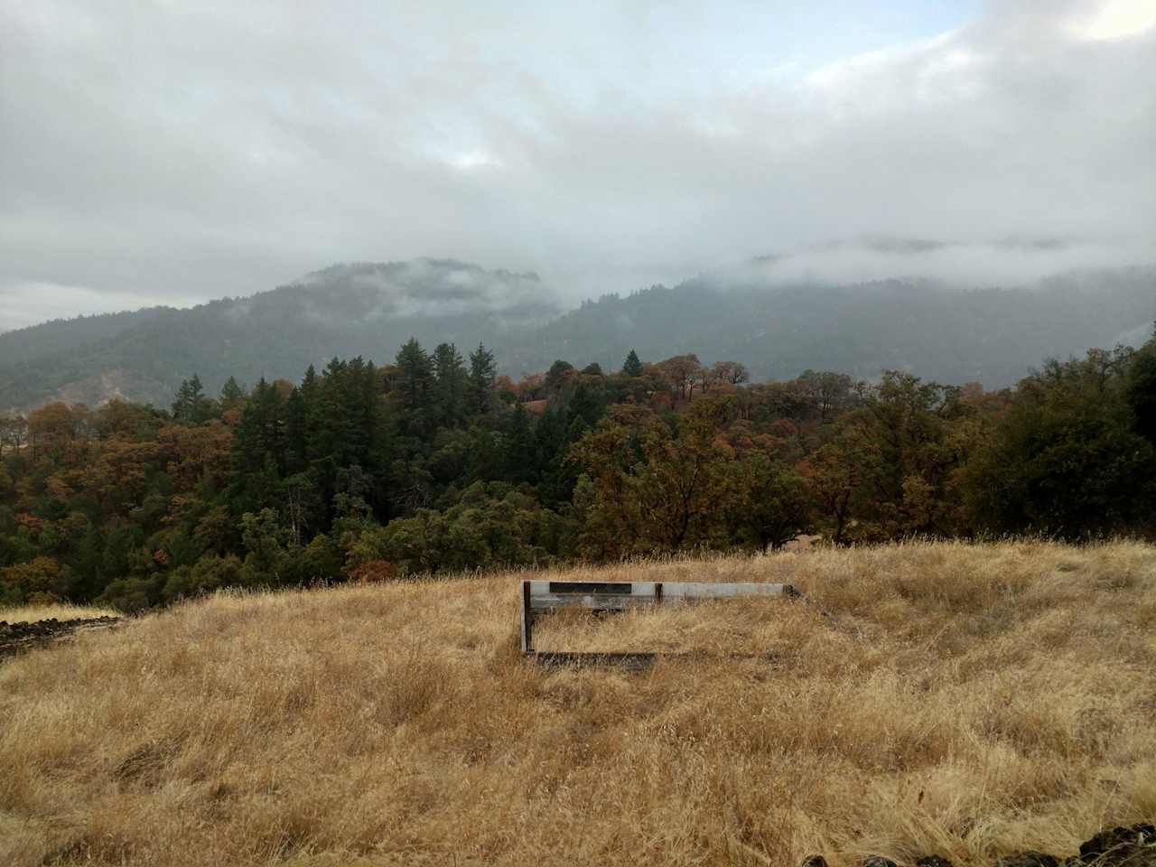Looking southwest in early winter with misty skies.