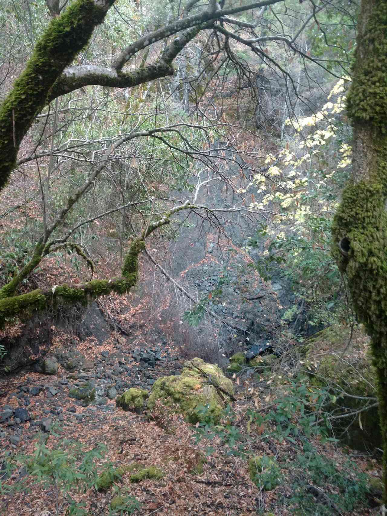 Down by the (seasonal) creek, below the campsite