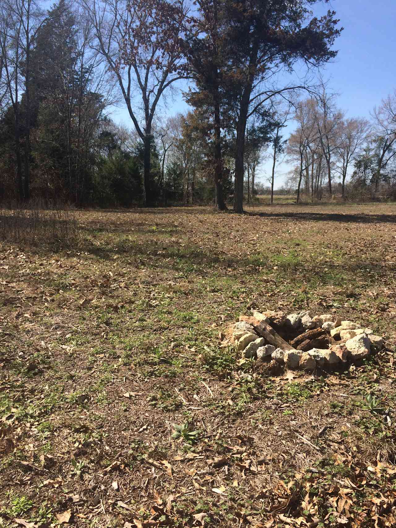 Site #1: This is a big area and has room for several tents and vehicles. The ground can be a bit rough from chopped up bark and uneven ground. 