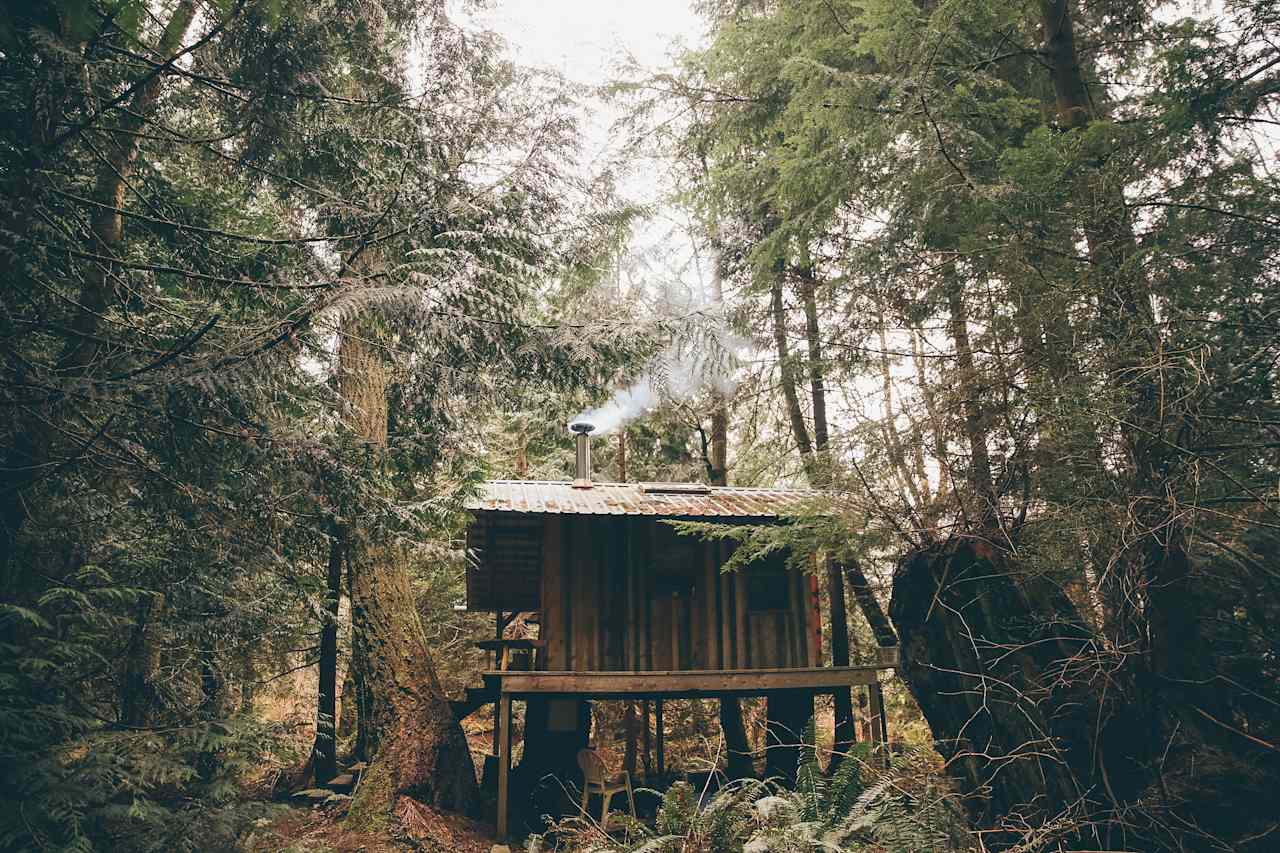 Jess Cabin