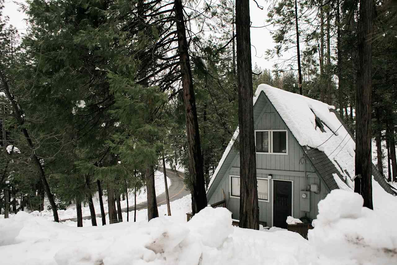 Looks so cute covered in snow! 
