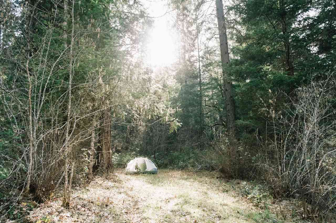 An idyllic camping spot in the forest.