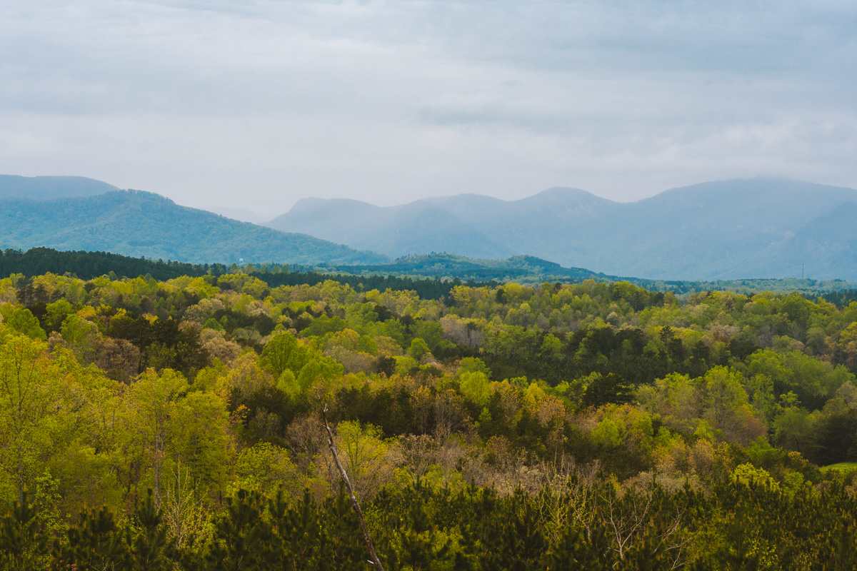 The kind of views to expect during your stay. So peaceful.