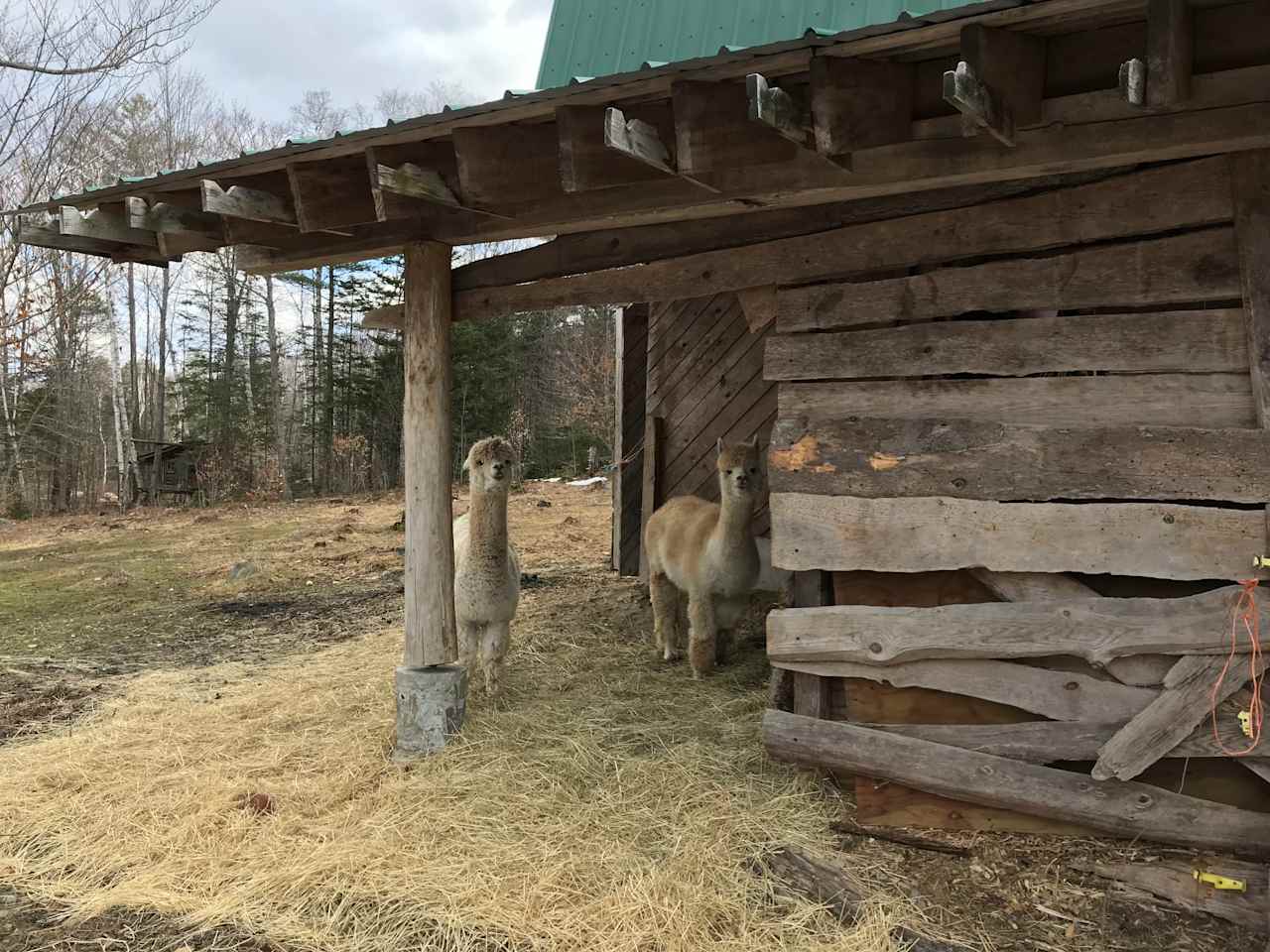 Streeter Mountain Farm