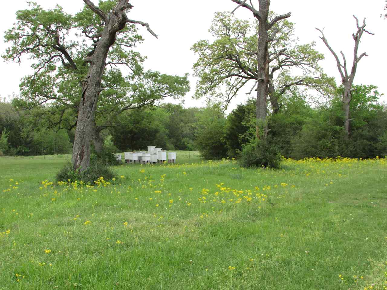 The Morris Manor and Retreat